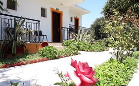 Studios Dimitris