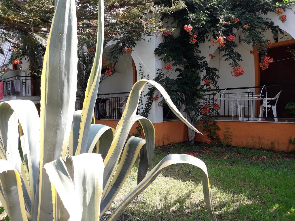 Studios Dimitris Punta Exterior foto