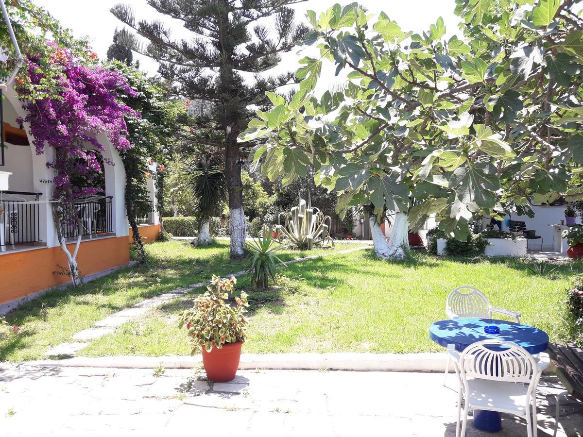 Studios Dimitris Punta Exterior foto