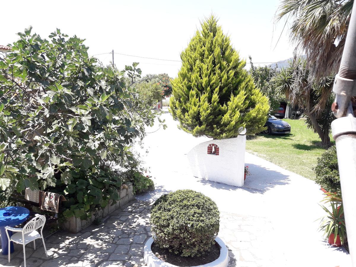 Studios Dimitris Punta Exterior foto